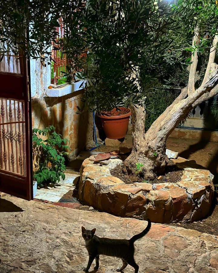 Auberge Dalia シェフシャウエン エクステリア 写真